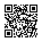  다이어트 스테이